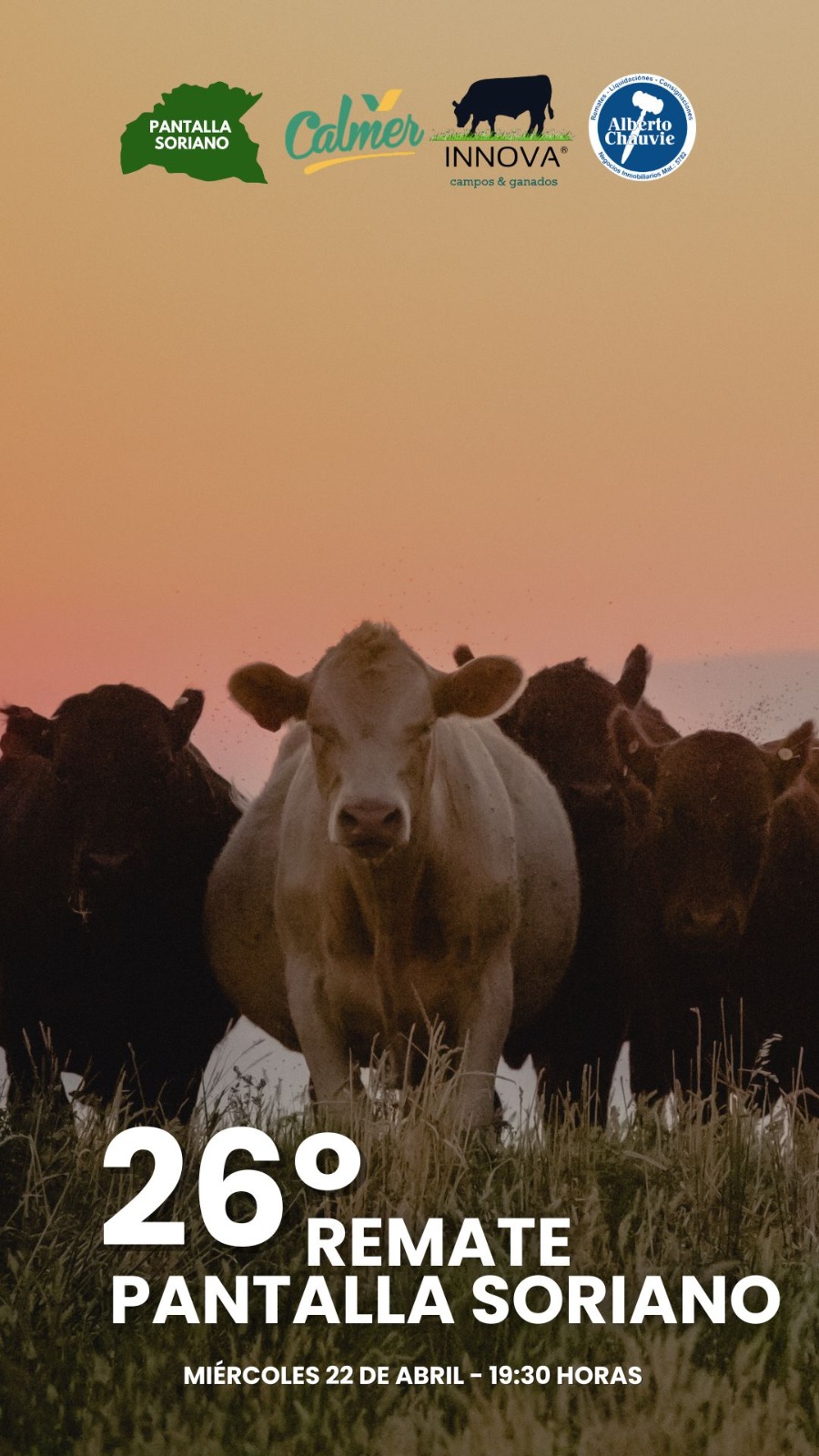 26° Remate - Pantalla Soriano